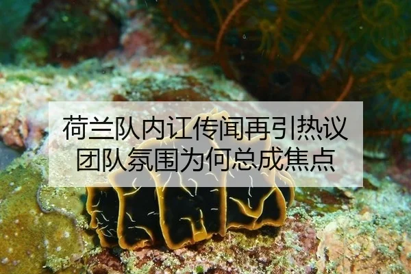 he-lan-dui-nei-hong-chuan-wen-zai-yin-re-yi-tuan-dui-fen-wei-wei-he-zong-cheng-jiao-dian-2-972.jpg